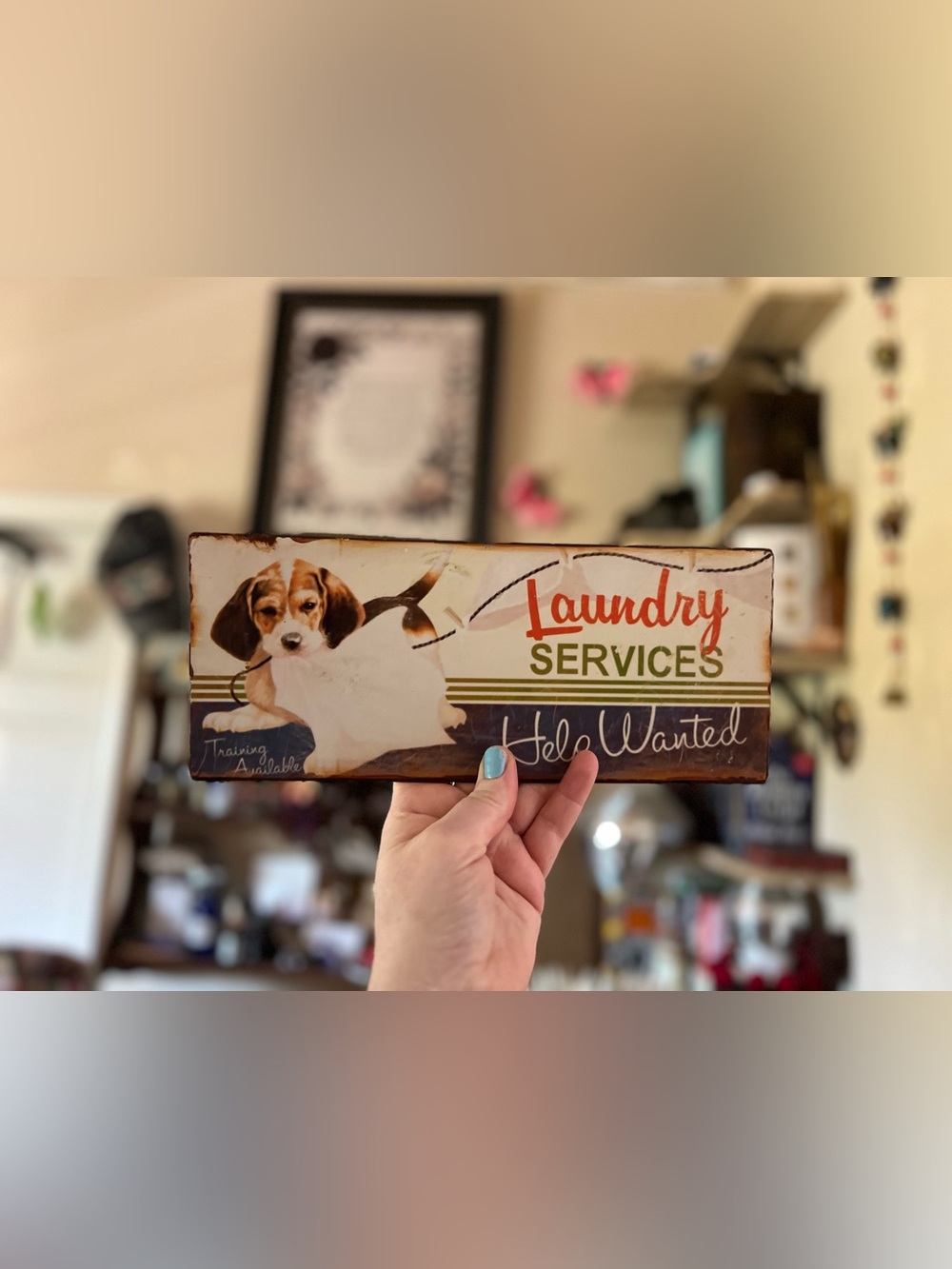 Two Laundry Services Decorative Wall Signs with Beagle Illustration & black cats